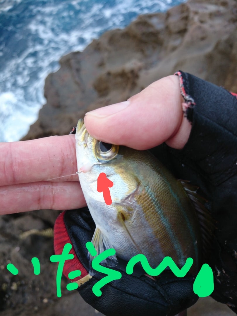 風速4Mで釣りは成立する？限界ラインと釣果を劇変させる現場対策