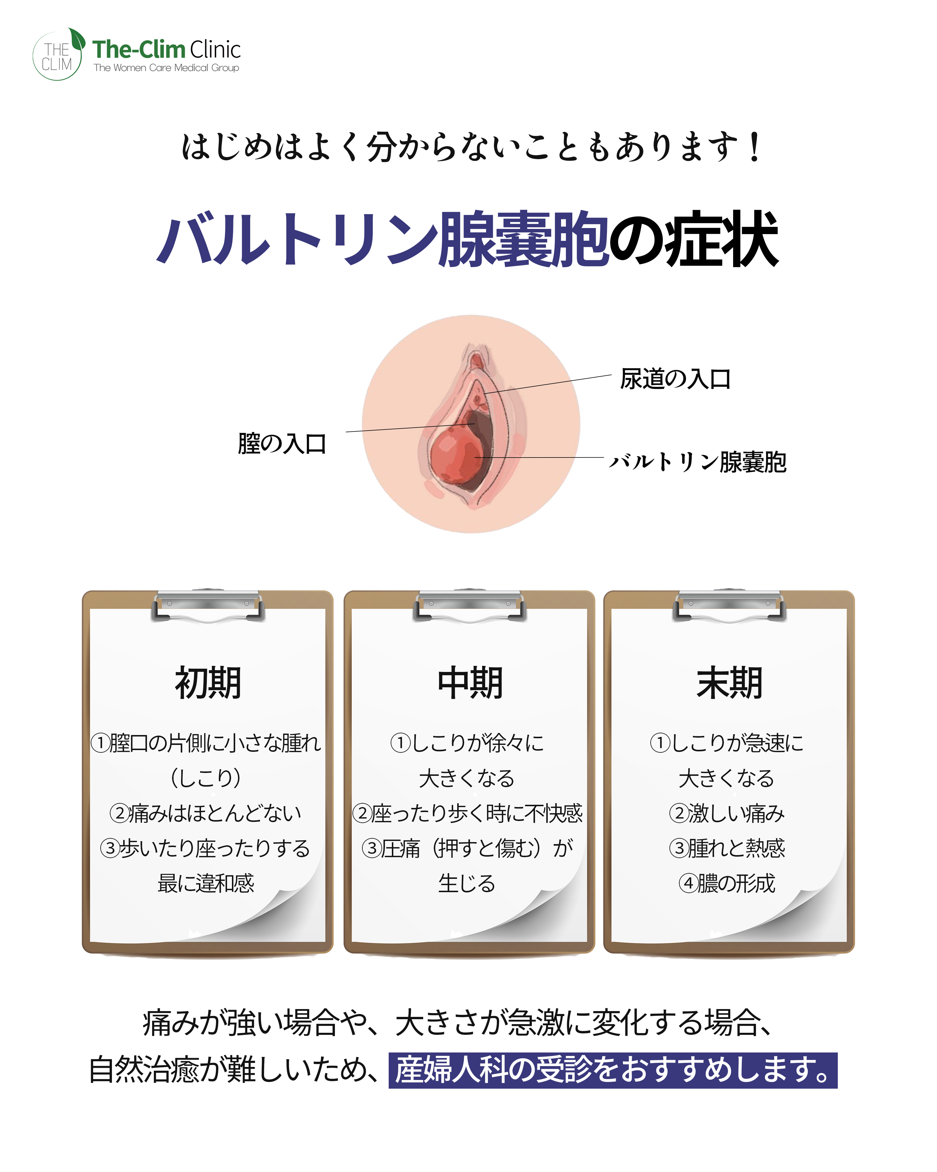 外陰部のしこりは何？バルトリン腺嚢胞の症例画像チェックと治療法