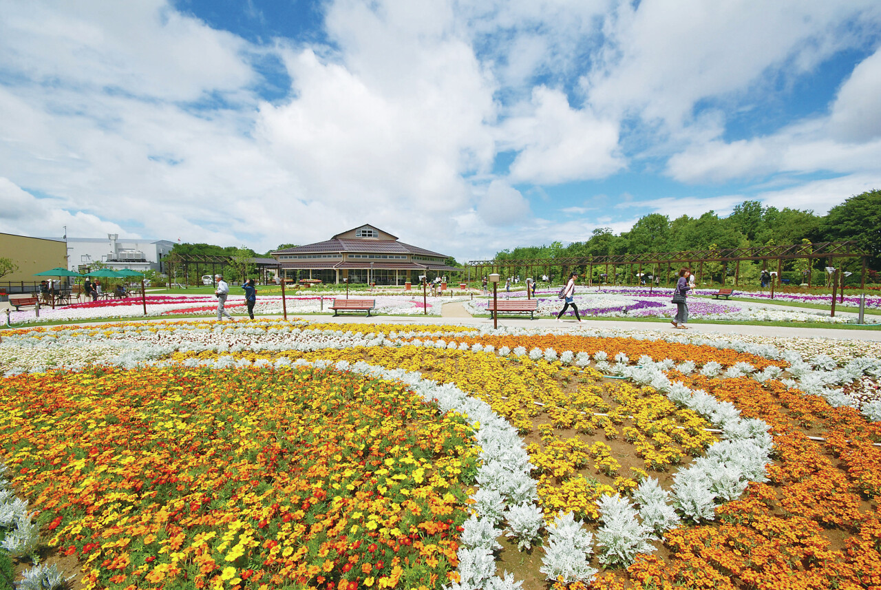 2026年、新潟の「食」と「花」が織りなす感動の最前線——**いく と ぴあ 食 花**が魅せる新たな都市型リゾートの真価