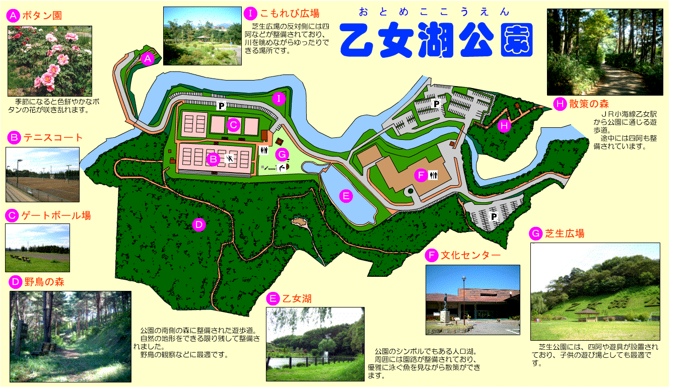 日本一高いダム湖の絶景！山梨・乙女湖の紅葉と噂の真相に迫る