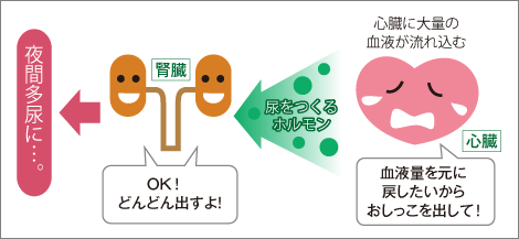 【徹底調査】 心 因 性 頻 尿 子供 ブログ 最新出演情報まとめ #699