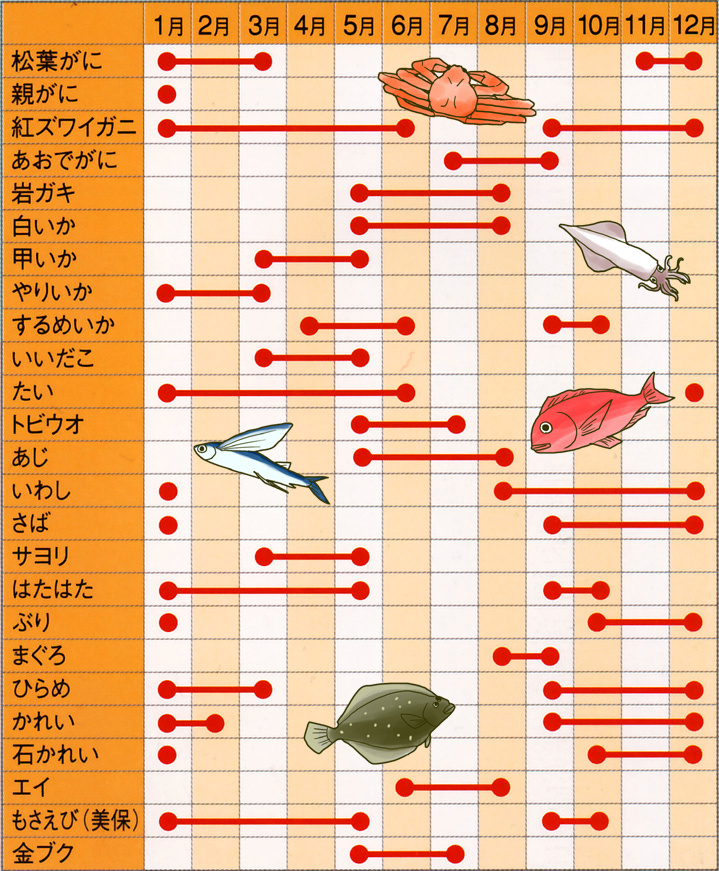 12月の旬の魚で本当に旨い魚種は？脂が乗る理由とプロの目利き術