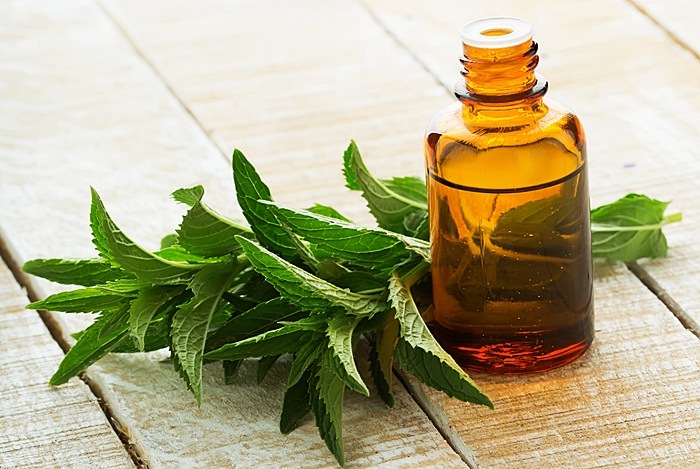 Peppermint Oil That Can Be Ingested