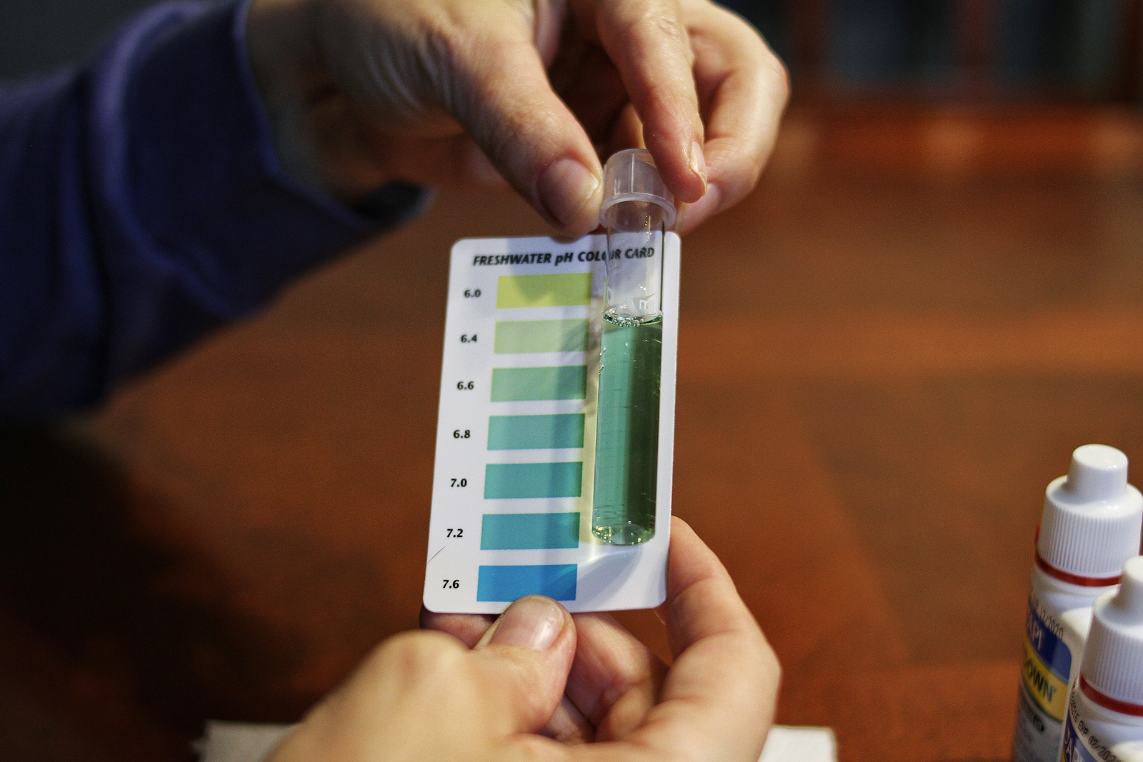 How to Test Ph of Water