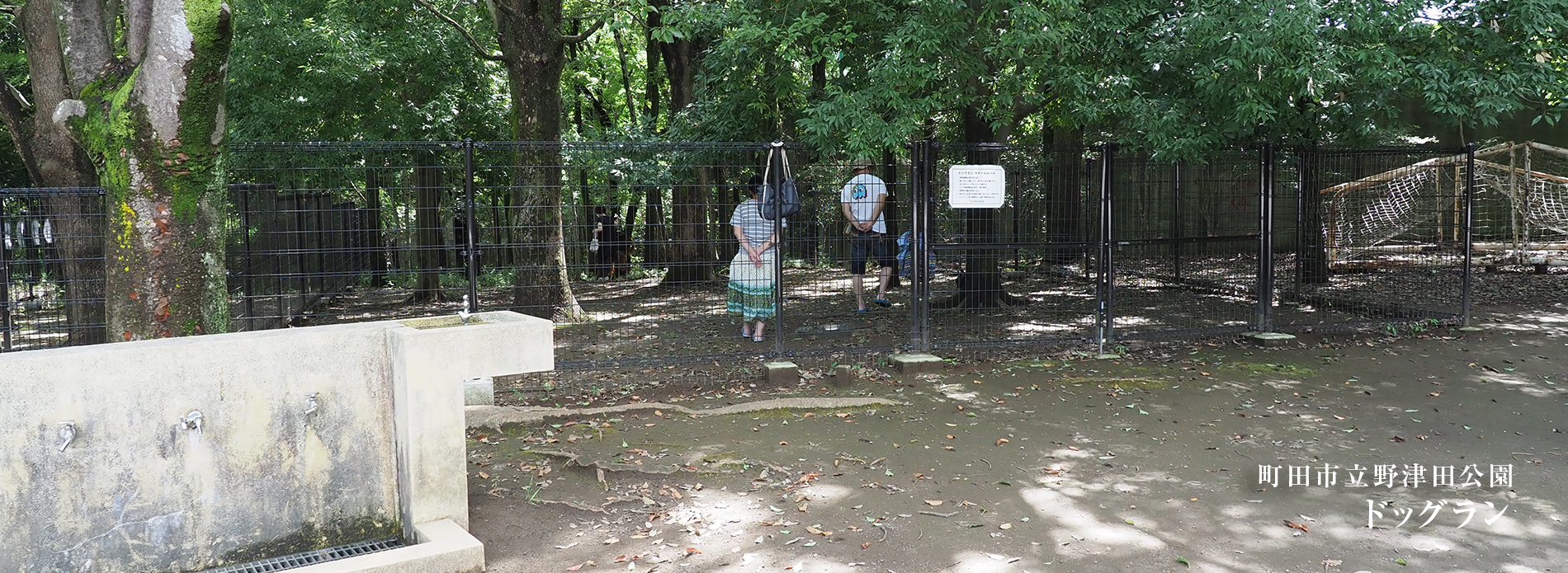 野津田公園ドッグランの現在！登録方法と利用ルール完全解説