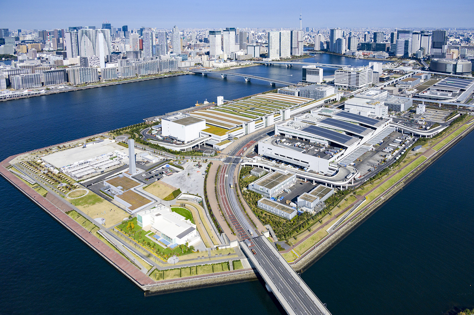 豊洲市場の一般入場はいつから？マグロ競りと千客万来の最新攻略