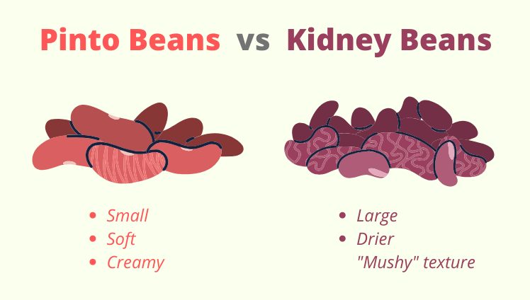 Are Kidney Beans the Same as Pinto Beans