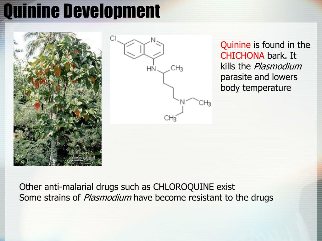 What Does Quinine Do to the Body