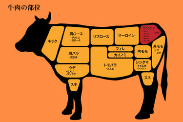 【話題】 ランプ 肉 と は 歴代彼氏・彼女まとめ #842