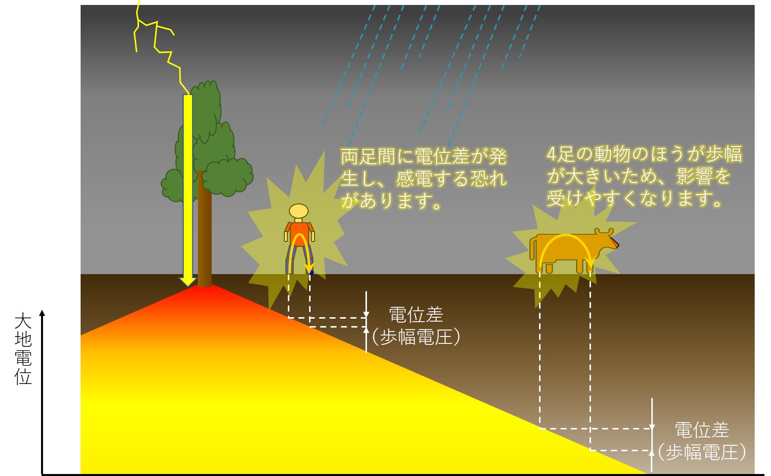 【真相】木下と雷の関連に迫る！急上昇の理由と事故・噂の全貌