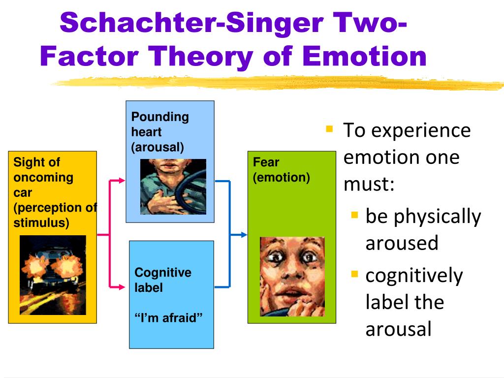 Schachter and Singer's Theory of Emotion