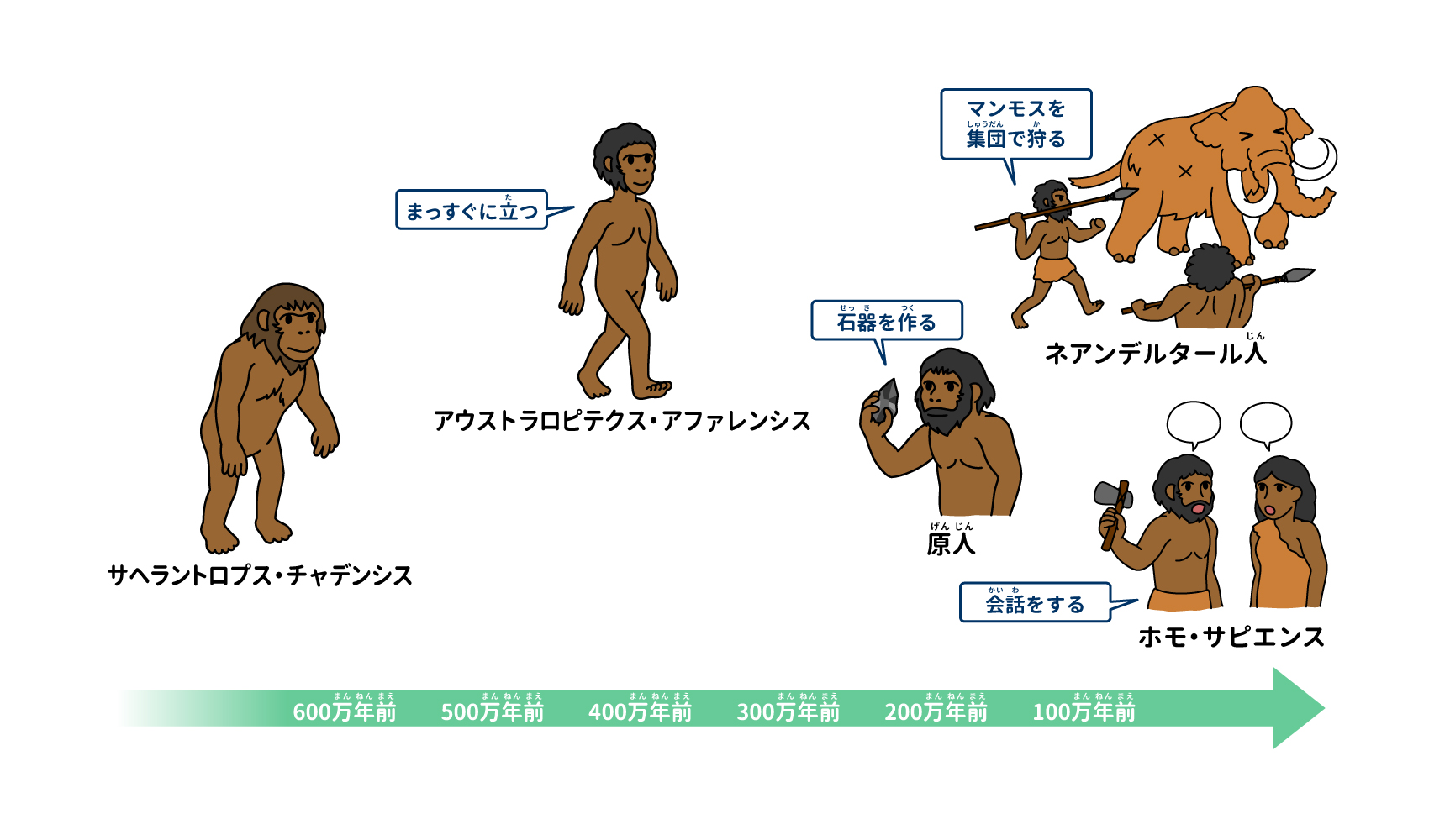 常識を覆す人類の起源！最新遺伝子解析が解き明かす未知の交雑