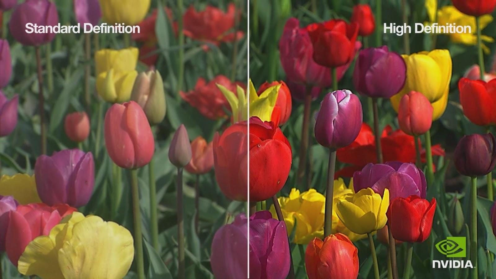 What Is the Difference Between Standard Definition and High Definition