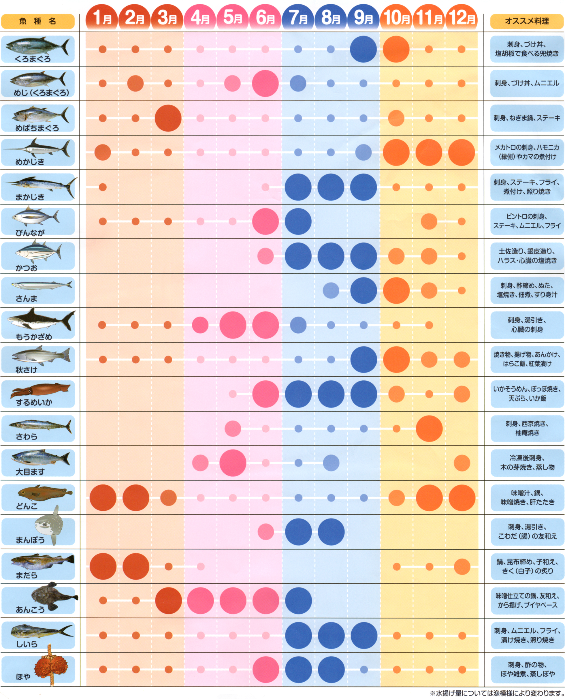 2月の旬の魚決定版！寒ブリや真鱈が最も美味い理由と目利き術2026