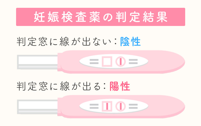 【2026年最新】妊娠検査薬で陰性なのに生理が来ない？「偽陰性」の真相と身体が発するSosの読み解き方