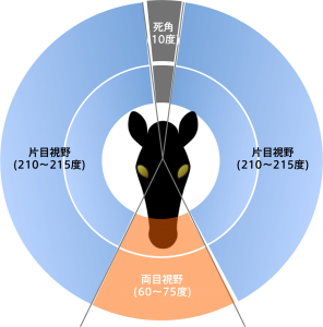 【徹底調査】 馬 の 視界 最新出演情報まとめ #898