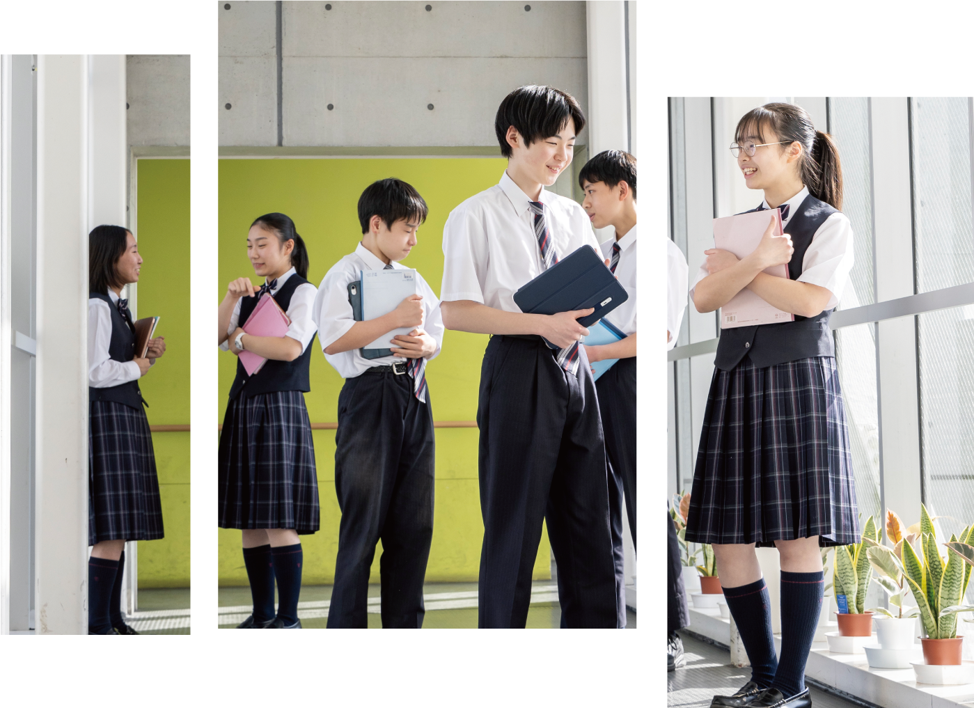 東京都市大等々力の躍進の真相！偏差値・S特選の評判と合格実績を検証