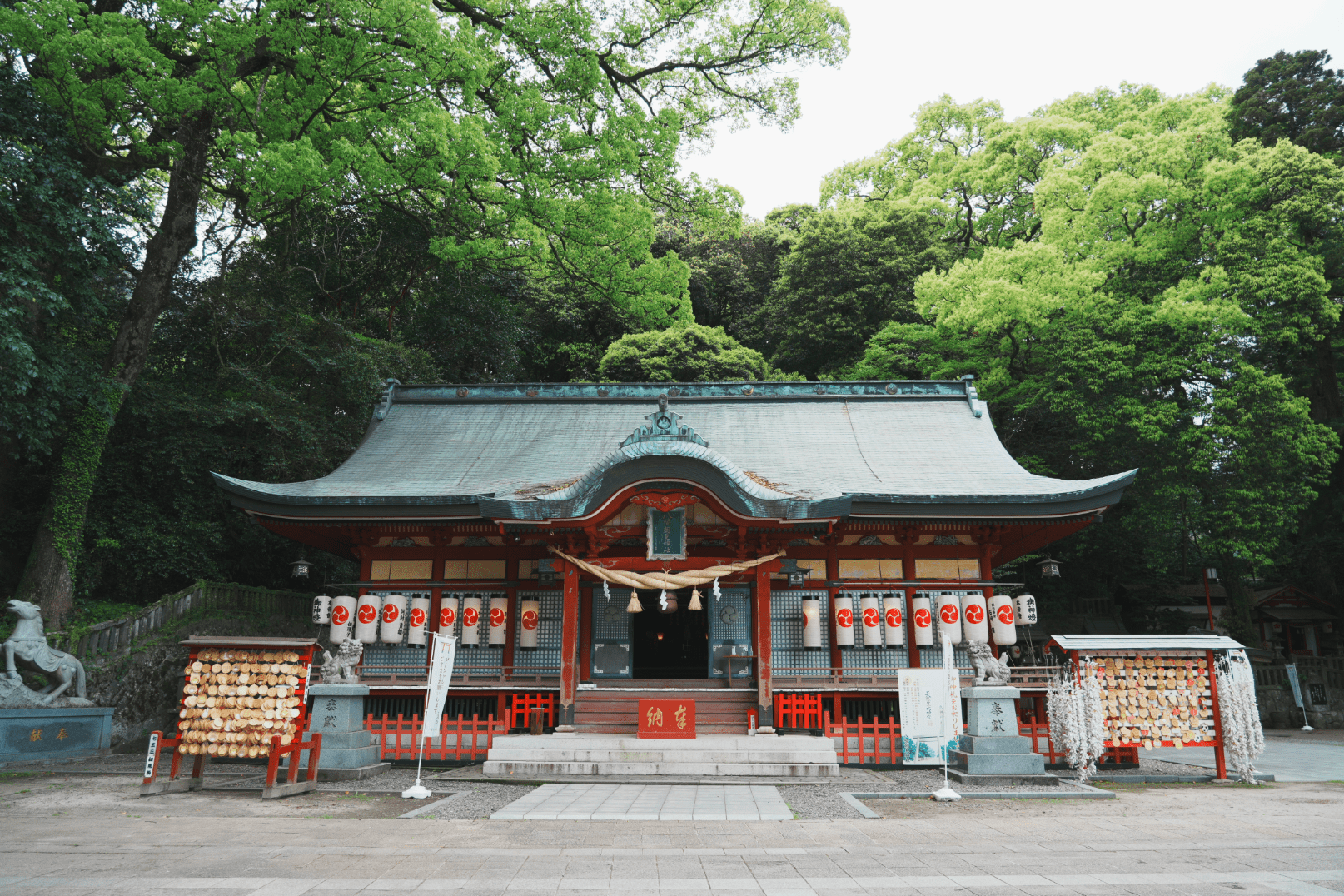 別府総鎮守・八幡朝見神社の全貌｜樹齢千年の大楠と奇跡のパワースポットを巡る完全解剖