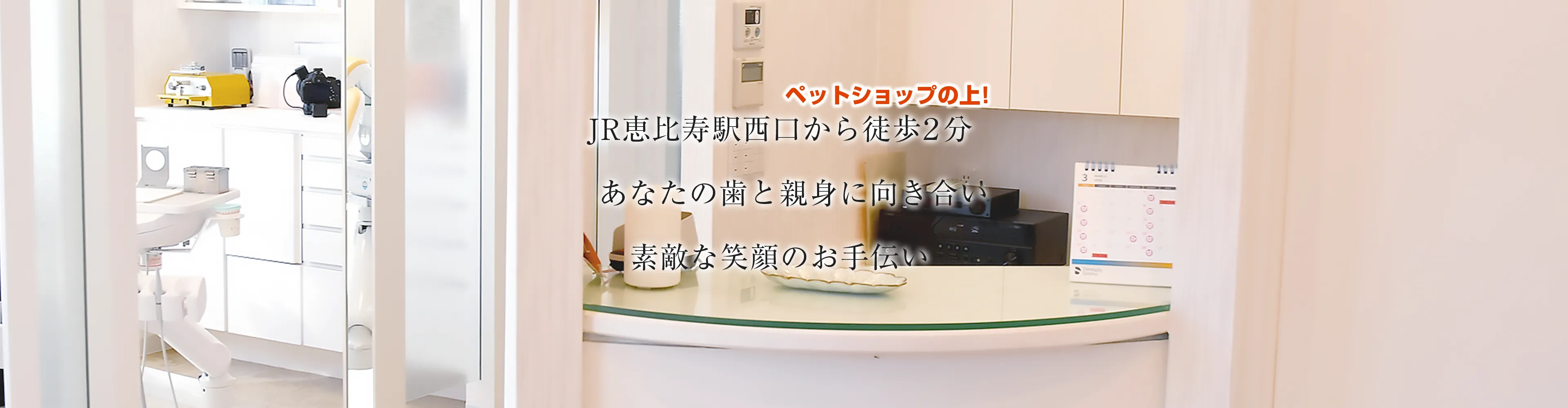 2026年、路地裏の香りが世界を魅了する――「や なか 珈琲 店」が起こした自家焙煎カルチャーの静かな革命