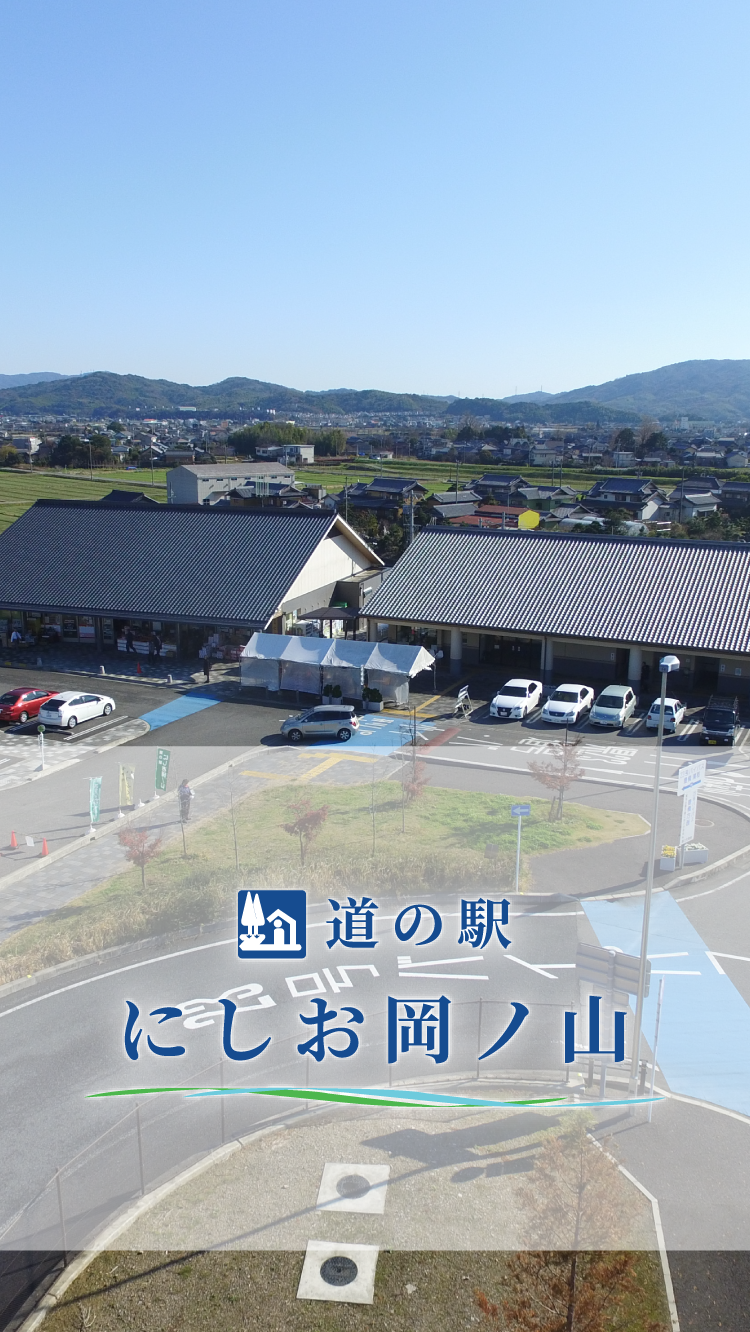 【2026年最新】愛知「道の駅にしお岡ノ山」現地ルポ！西尾抹茶グルメと進化するバイパス拠点の熱気