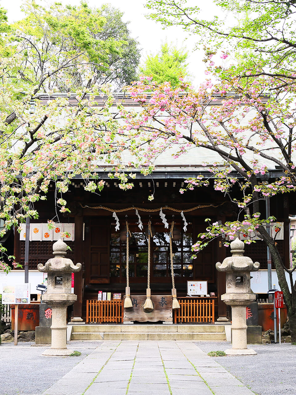 渋沢栄一が愛した北区西ヶ原の七社神社！限定御朱印とご利益を徹底解剖