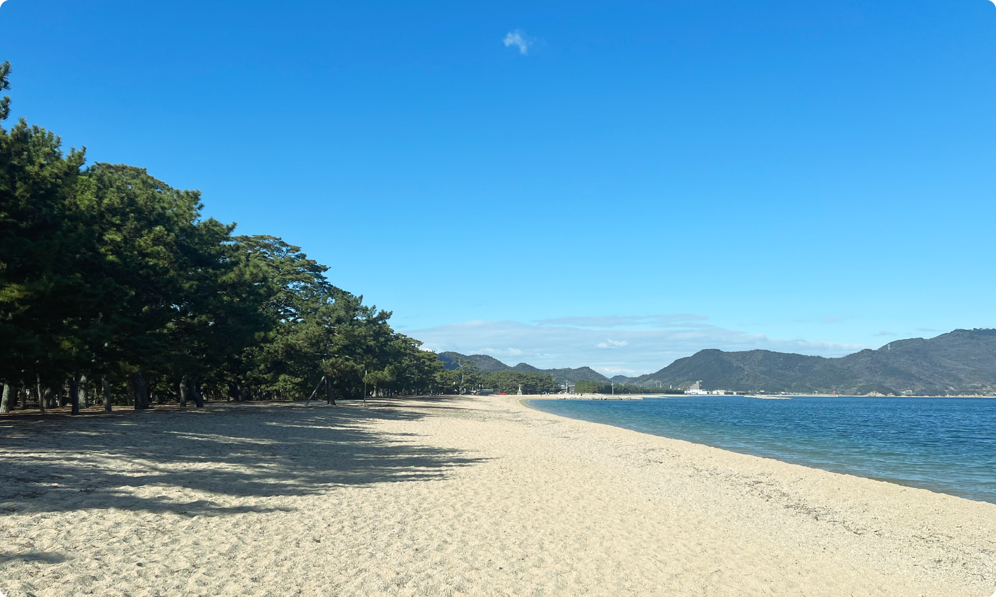 津田の松原が人を惹きつける真相｜絶景・Saうどん・混雑の裏側