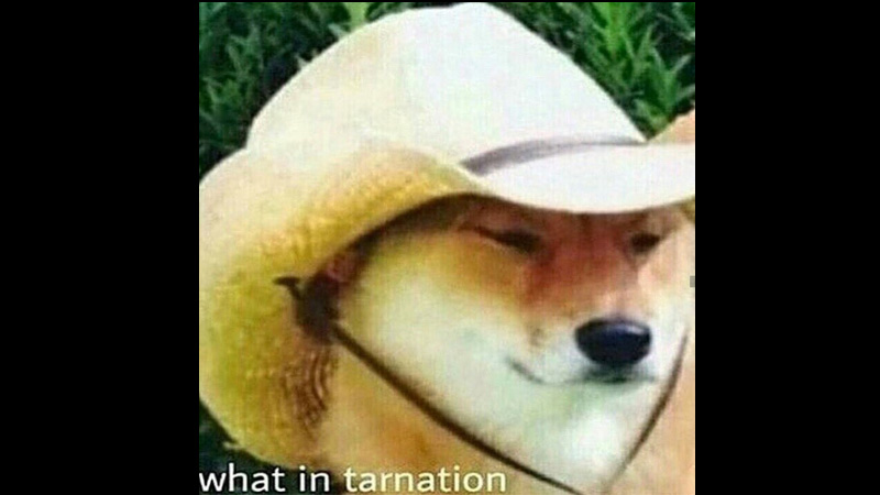 Where Did What in Tarnation Come From