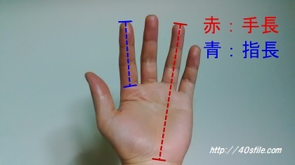 【速報】 指 の 長 さ 話題のバズ動画・画像 #810