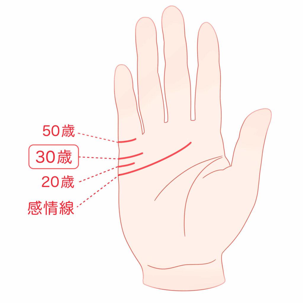 結婚線の見方を徹底解説｜左右の違い・婚期年齢と玉の輿サインの真相