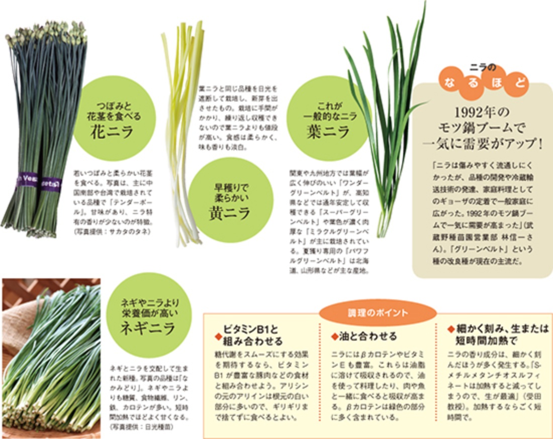 ニラの栄養を激変させる切り方と調理法！疲労回復を早める新常識