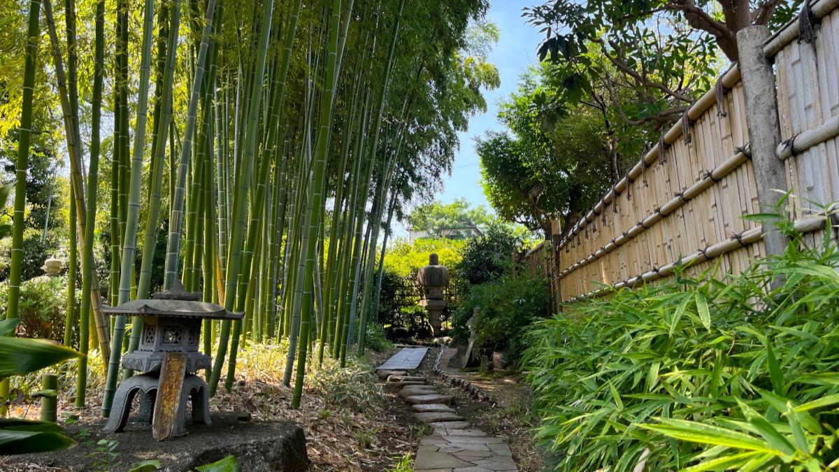 都会の奇跡！板橋区立赤塚植物園が無料で見頃の花を誇る理由と全貌