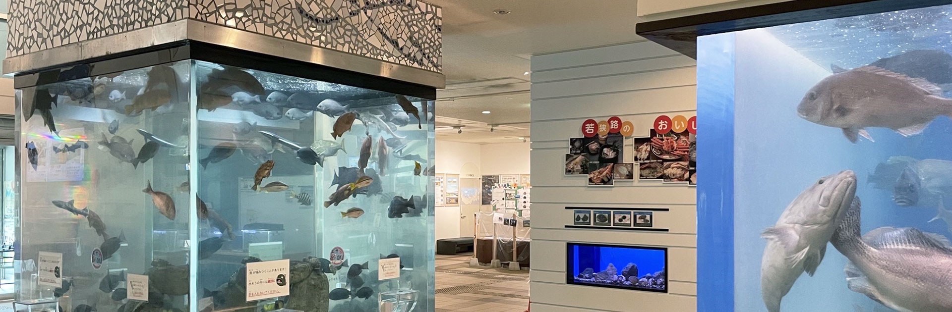重要文化財旧三笠ホテルの見学再開と現在｜軽井沢の鹿鳴館を徹底解剖