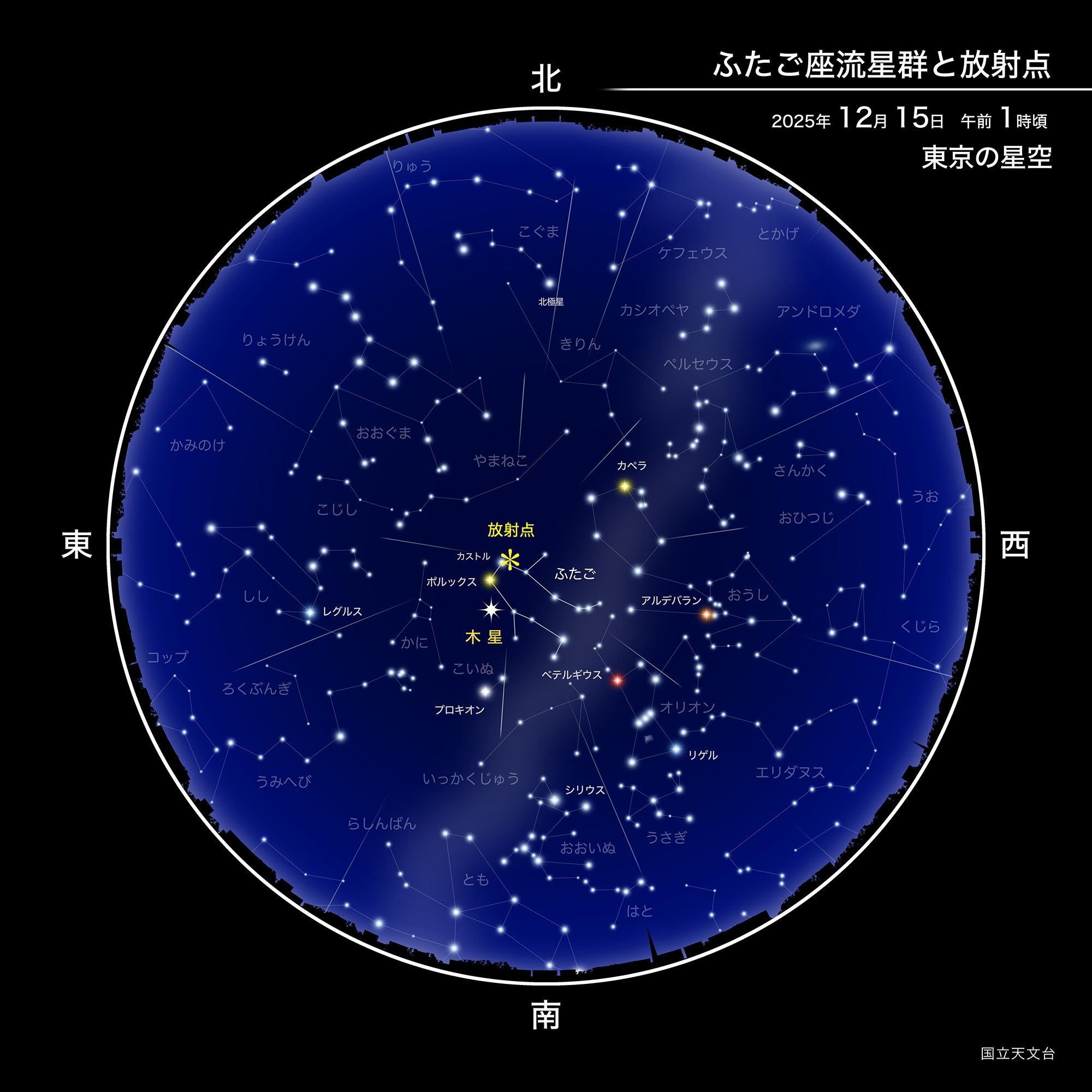冬の夜空を彩る流星群！ピーク時間と穴場観測スポット徹底解説