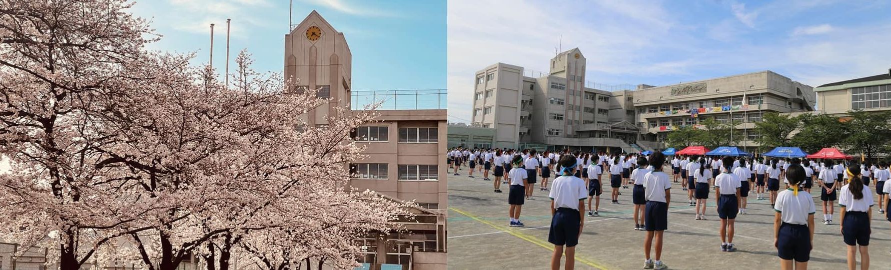 後悔しないドッグサロン選びの極意！プロが教える裏情報と料金相場