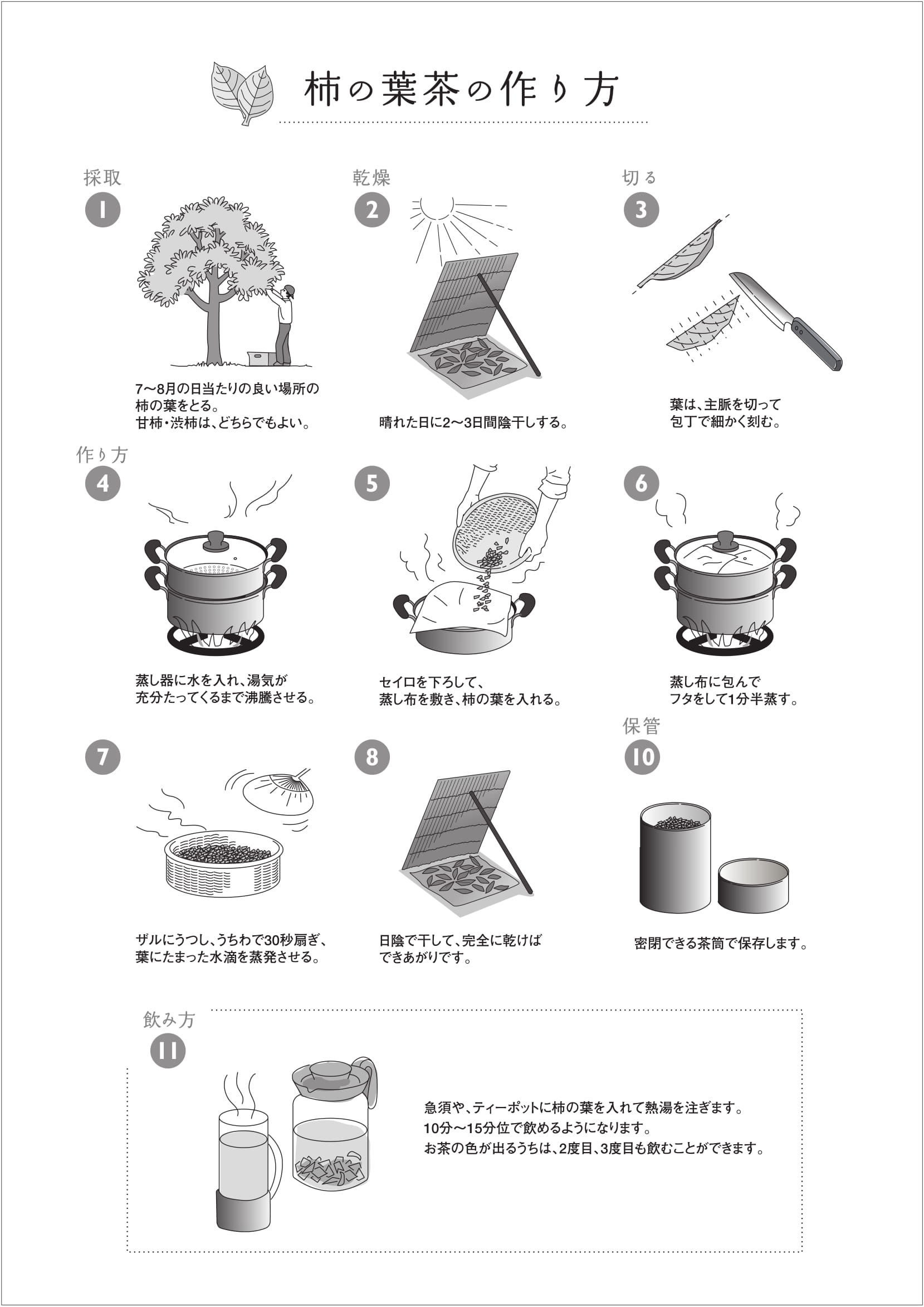 プロ直伝の柿の葉茶の作り方決定版！栄養を残す蒸し時間と簡単レシピ