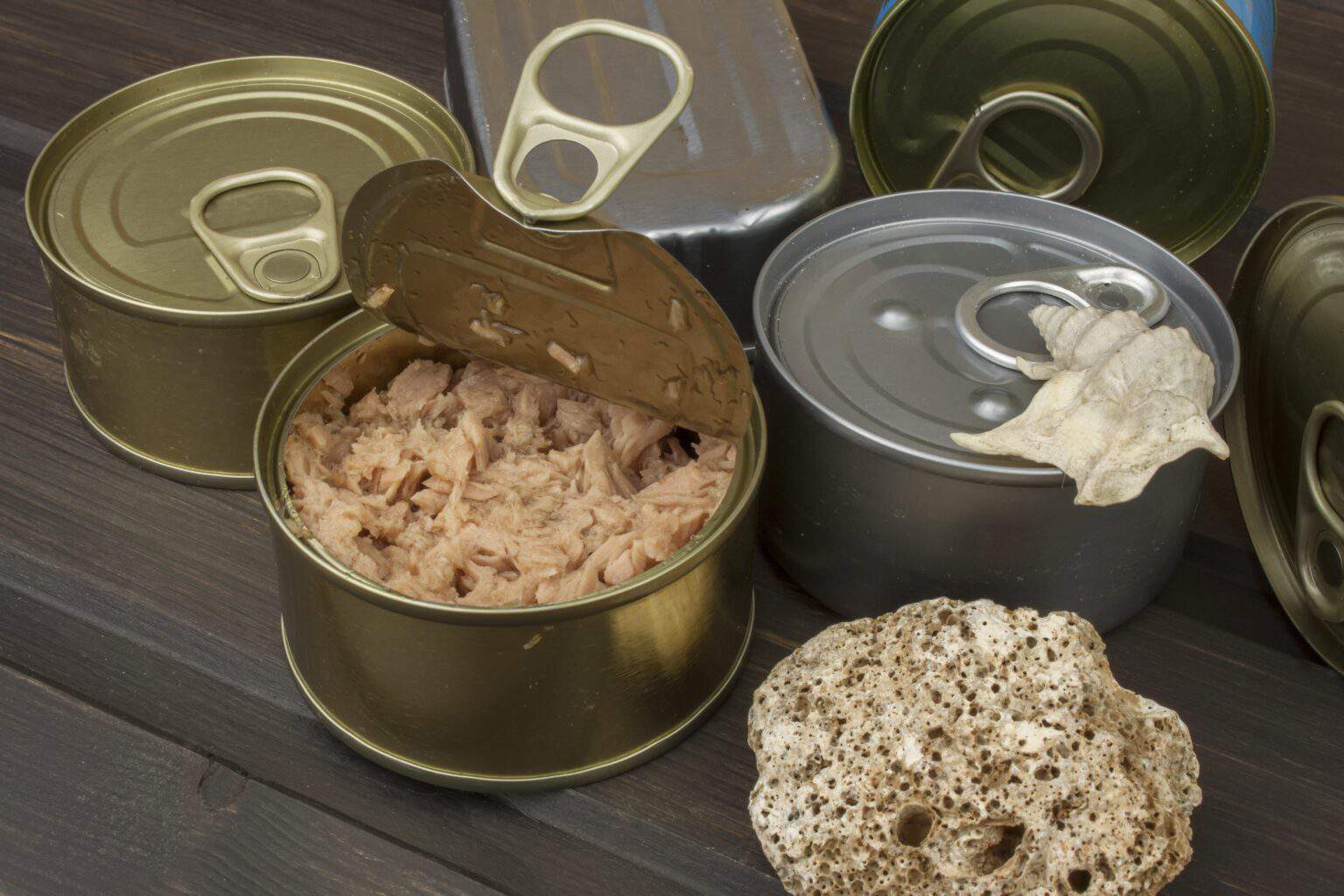Is Canned Tuna Bad