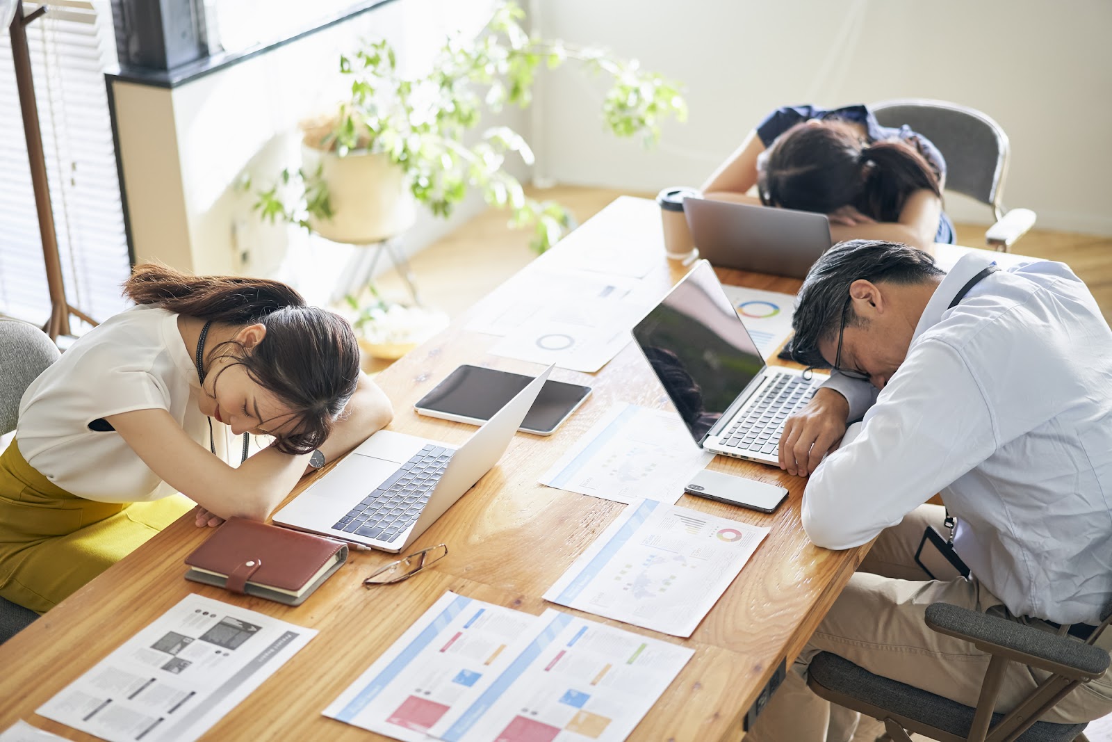 なぜ日本でシエスタは定着しない？驚くべき導入効果と2026年最新事情
