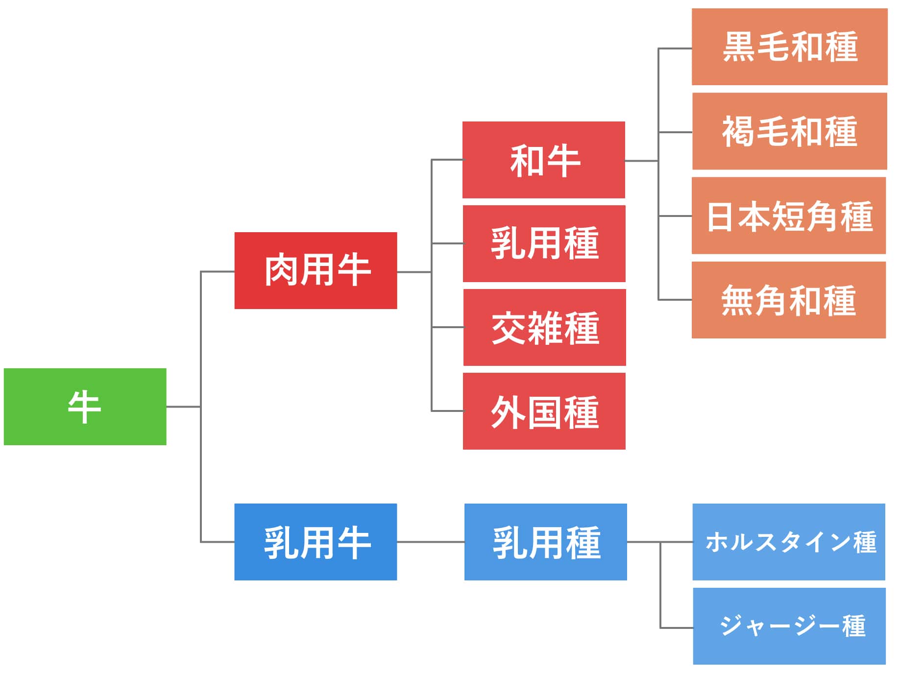 「国産牛＝和牛」は大誤解！驚きの定義と価格差の真相【2026最新】