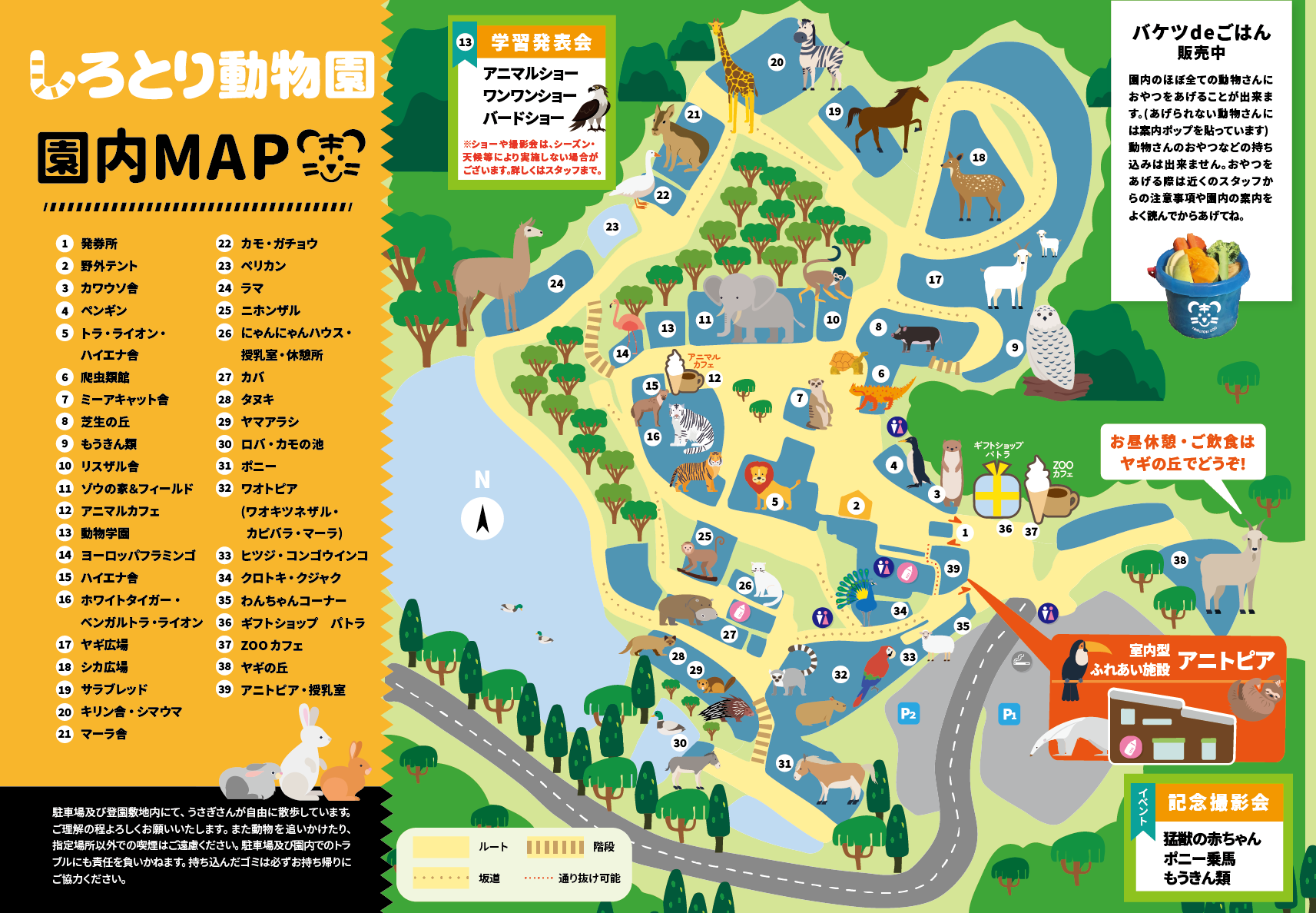 香川・しろとり動物園が自由すぎる理由とは？噂の真相と魅力を徹底解剖