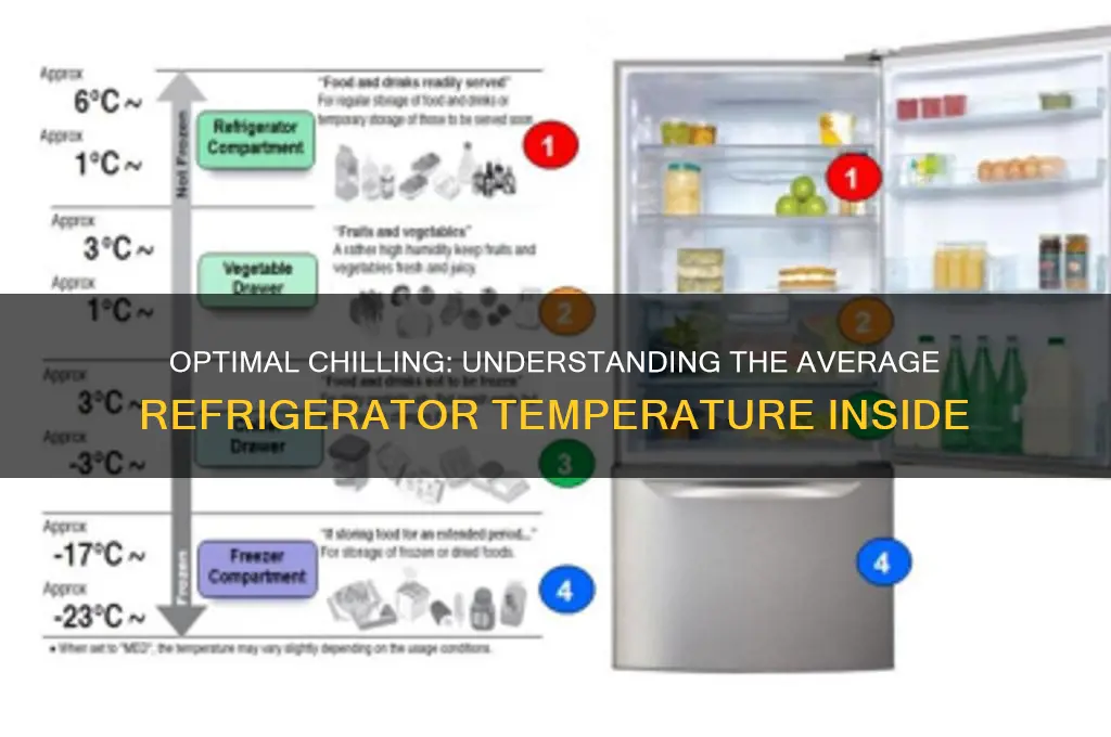 What's the Temperature Inside a Refrigerator