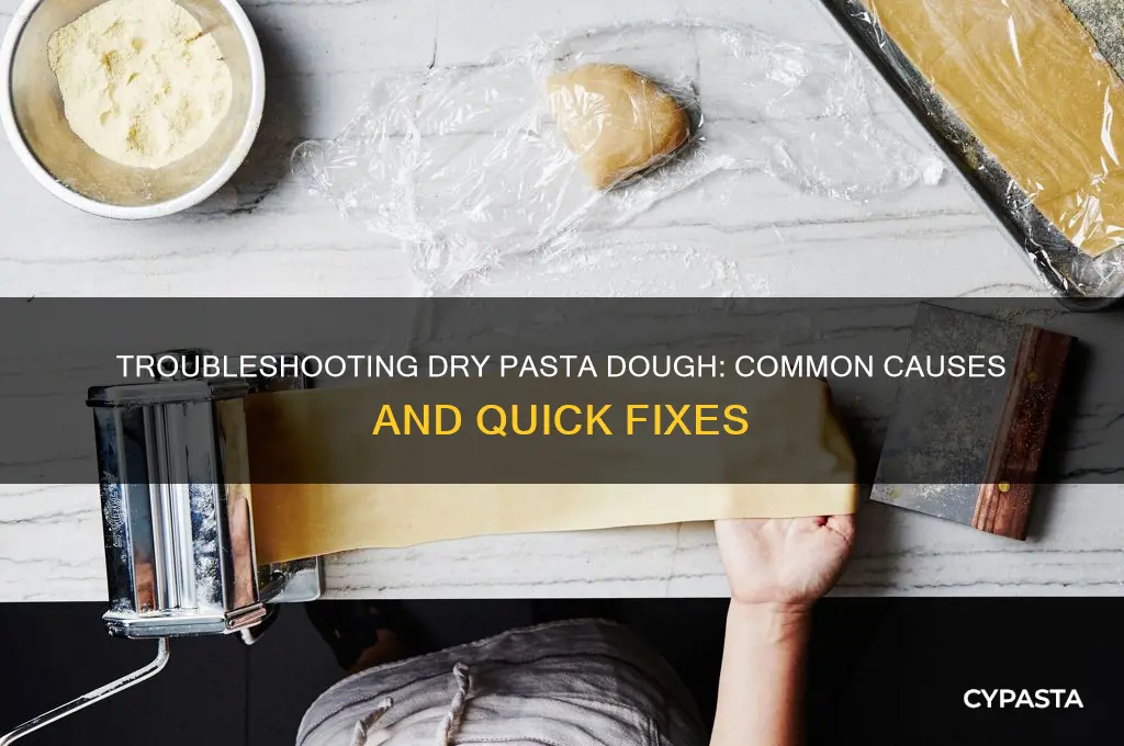 Is My Pasta Dough Too Dry