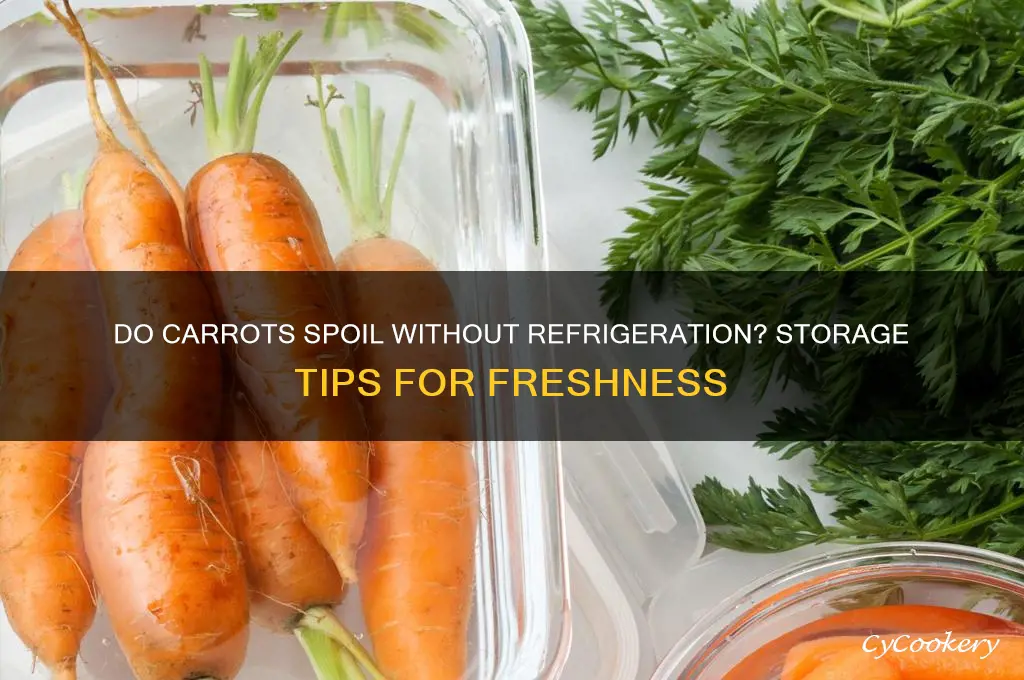 Can Carrots Go Bad in the Fridge