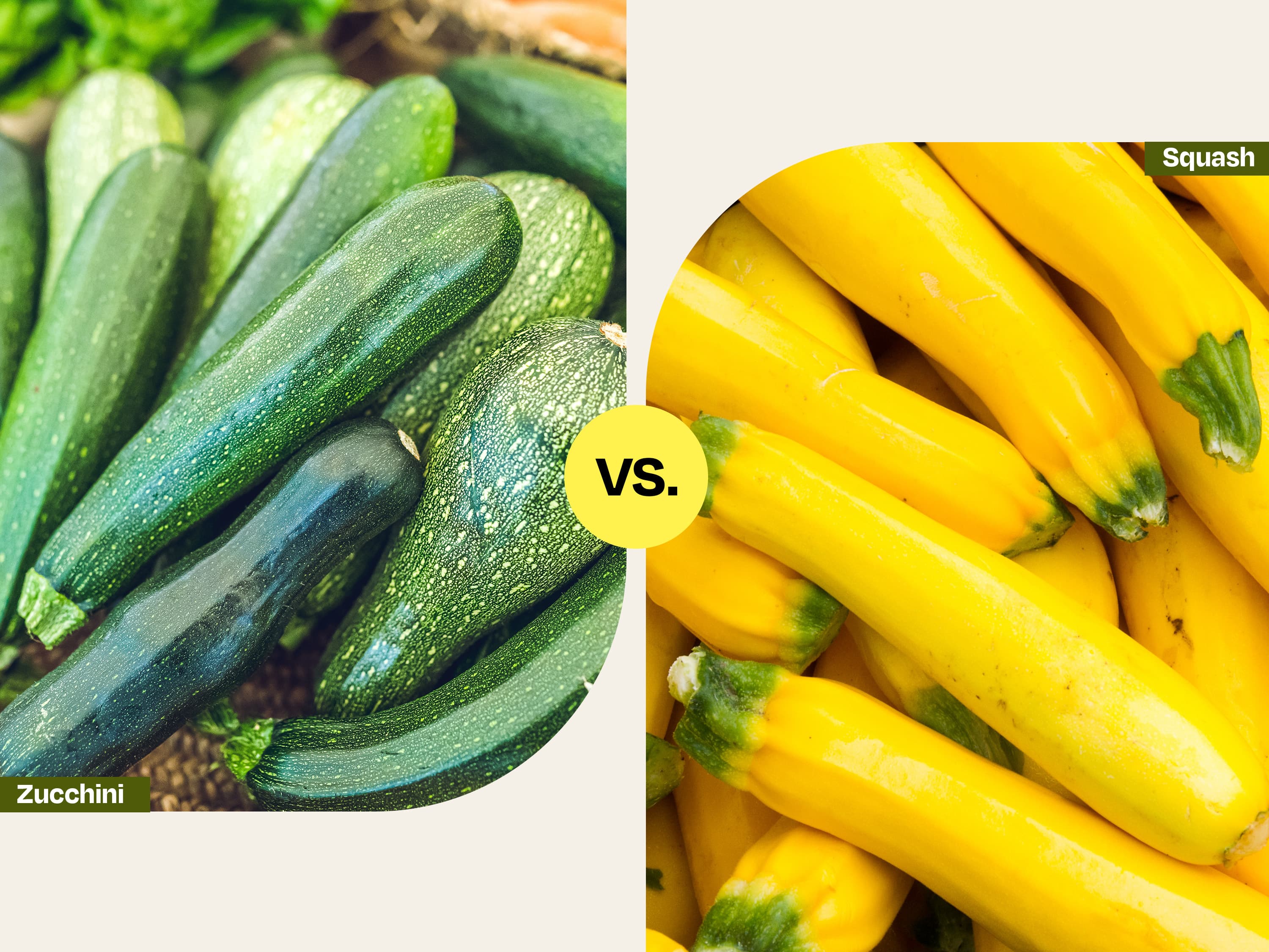 Is Summer Squash the Same as Zucchini