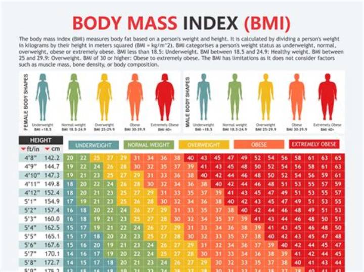 159センチ56キロの体型・Bmi・見た目を完全解説 - 標準？それとも痩せるべき？