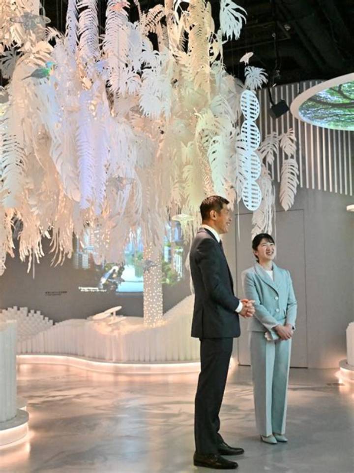 愛子さま「顔が変わった」と話題に——その理由と成長の軌跡を徹底検証