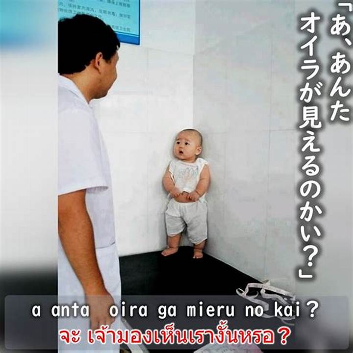 「あんた、オイラが見えるのかい」―幽霊と対話する日本語表現の深層