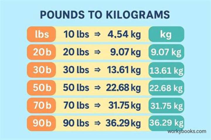 How Many Pounds Is 60 Kg? Exact Conversion and Quick Ways to Check