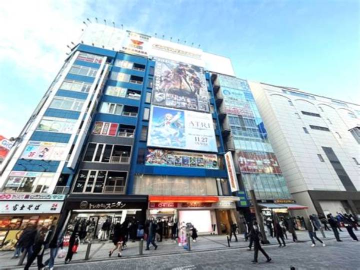Https: //Www. Adelakun. Org/Akihabara-1/7146655/
