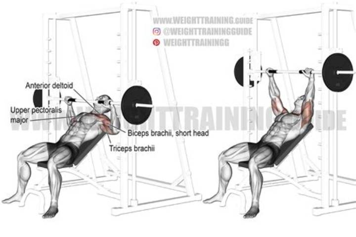 Incline Bench Press Machine: How to Choose, Use, and Get Results