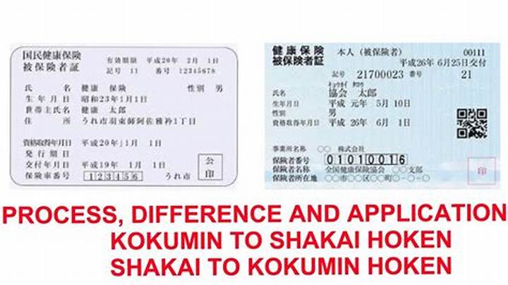 国民健康保険カードの色で何がわかる？種類・見方を徹底解説